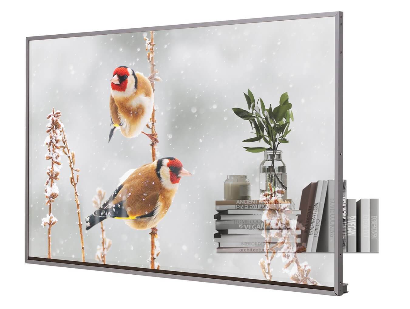 Transparent OLED